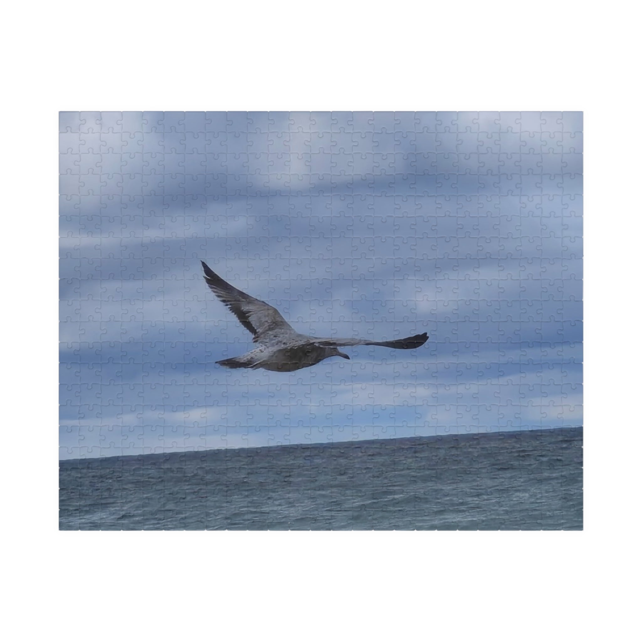 Seagull Soaring Puzzle - 1014-Piece Ocean Experience
