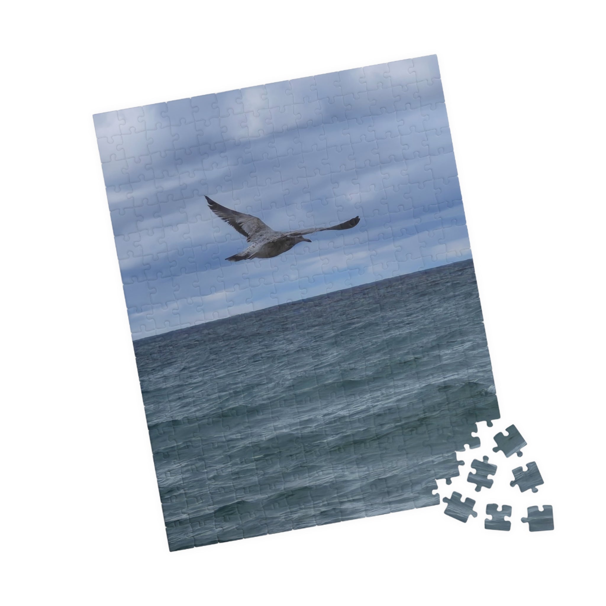 Ocean Bird Puzzle - 110 to 1014 Pieces