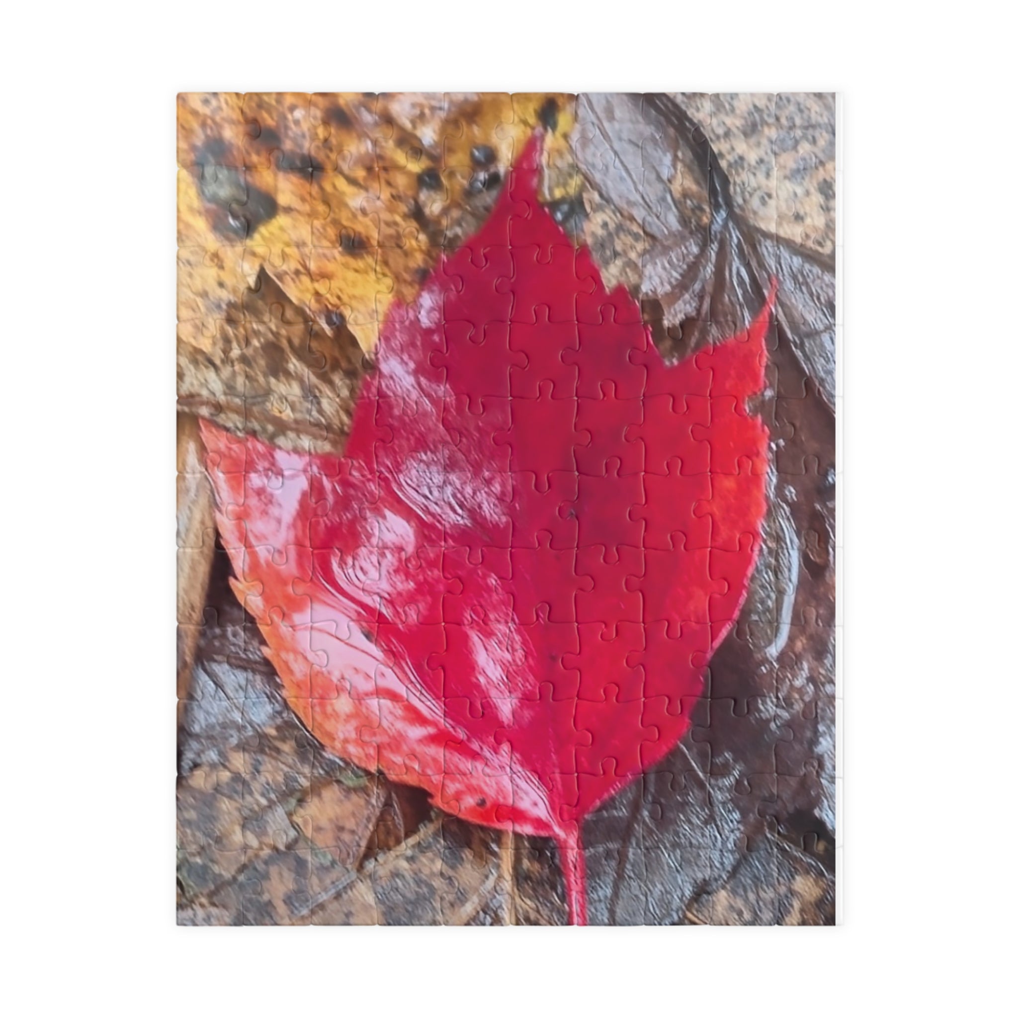 Autumn Leaf Puzzle for Nature Lovers - 110, 252, 520, 1014-Piece