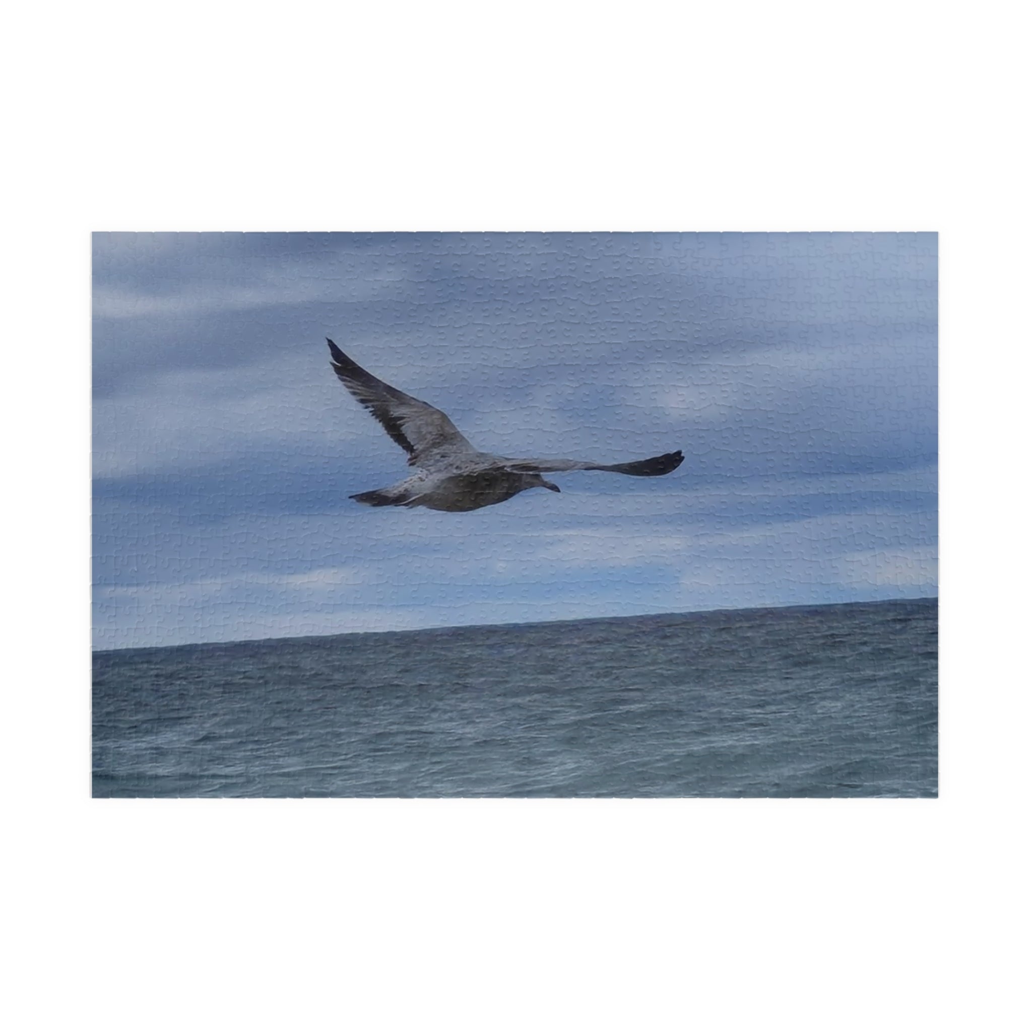 Seagull Soaring Puzzle - 1014-Piece Ocean Experience