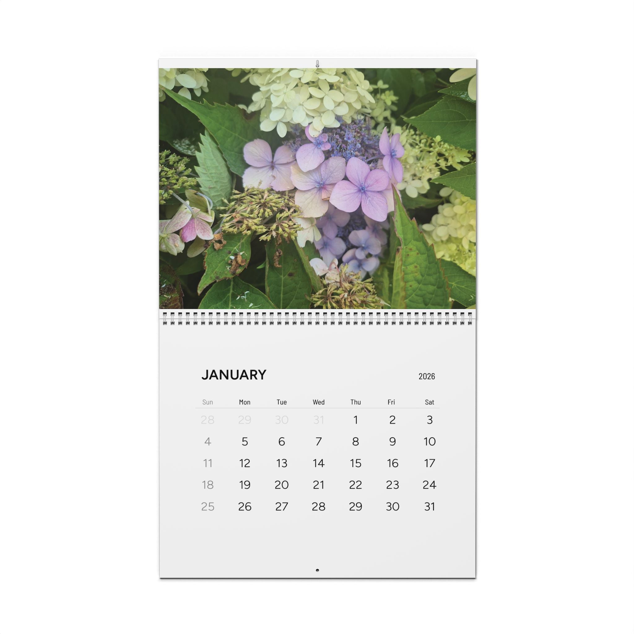 Wall Calendars (2026)