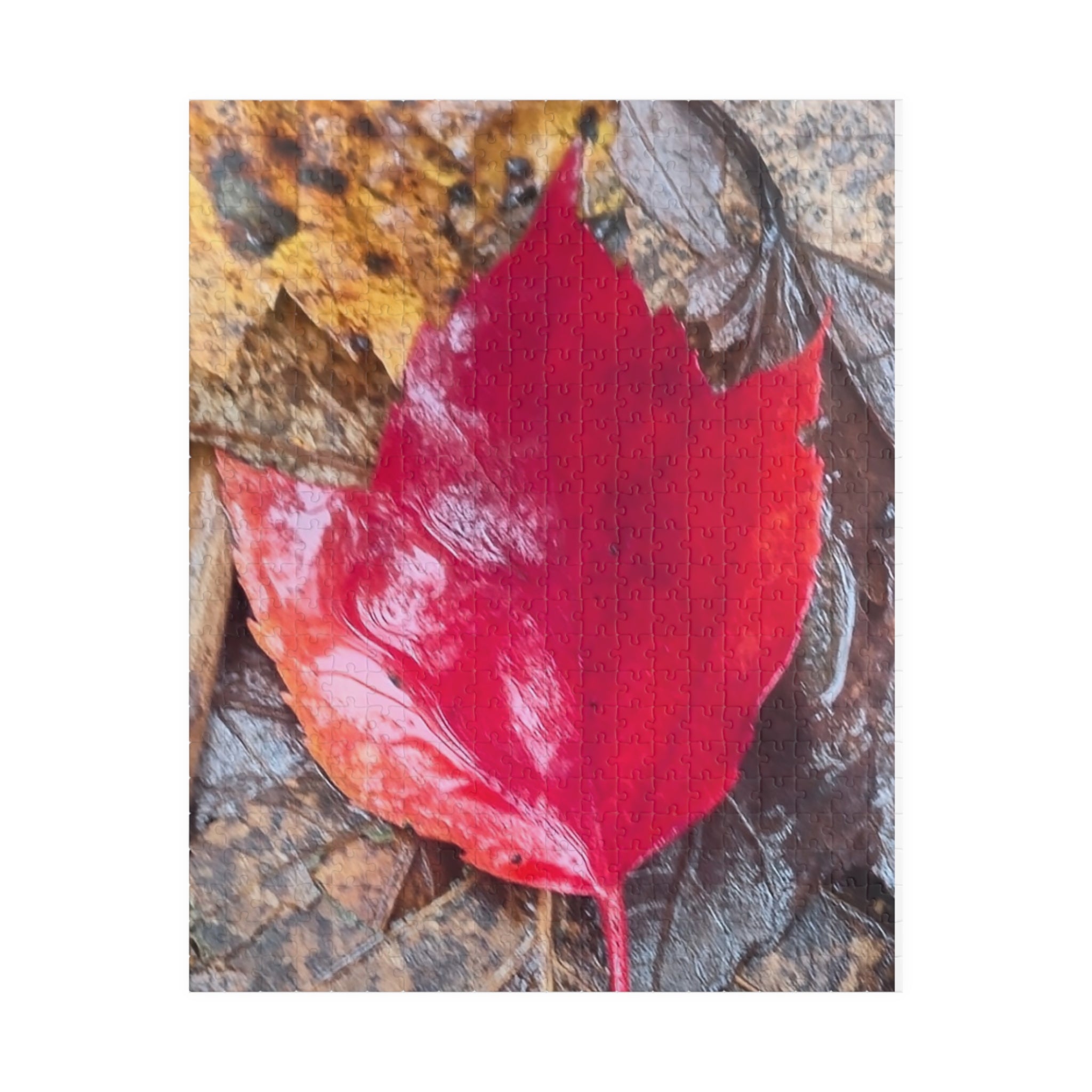 Autumn Leaf Puzzle for Nature Lovers - 110, 252, 520, 1014-Piece