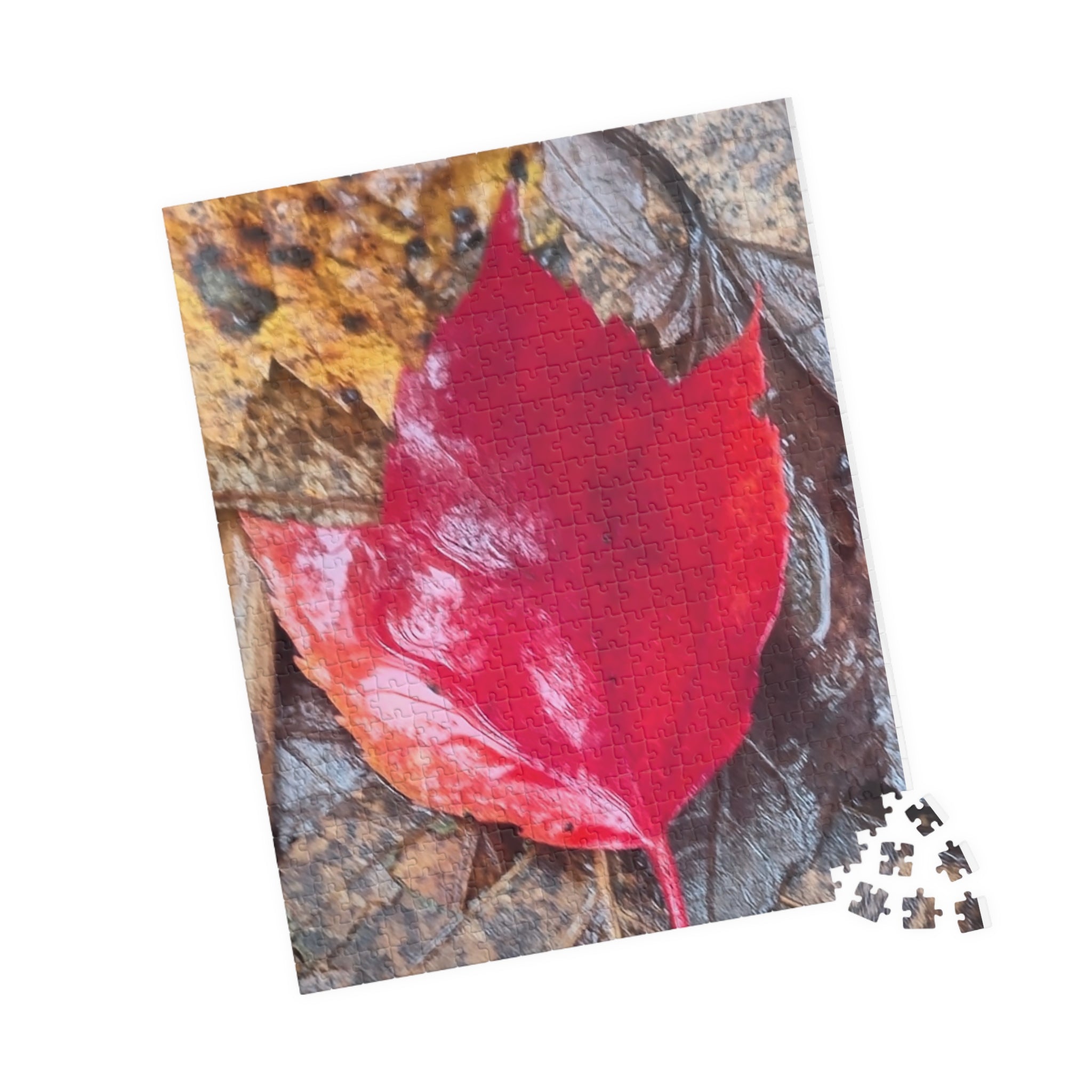 Autumn Leaf Puzzle for Nature Lovers - 110, 252, 520, 1014-Piece