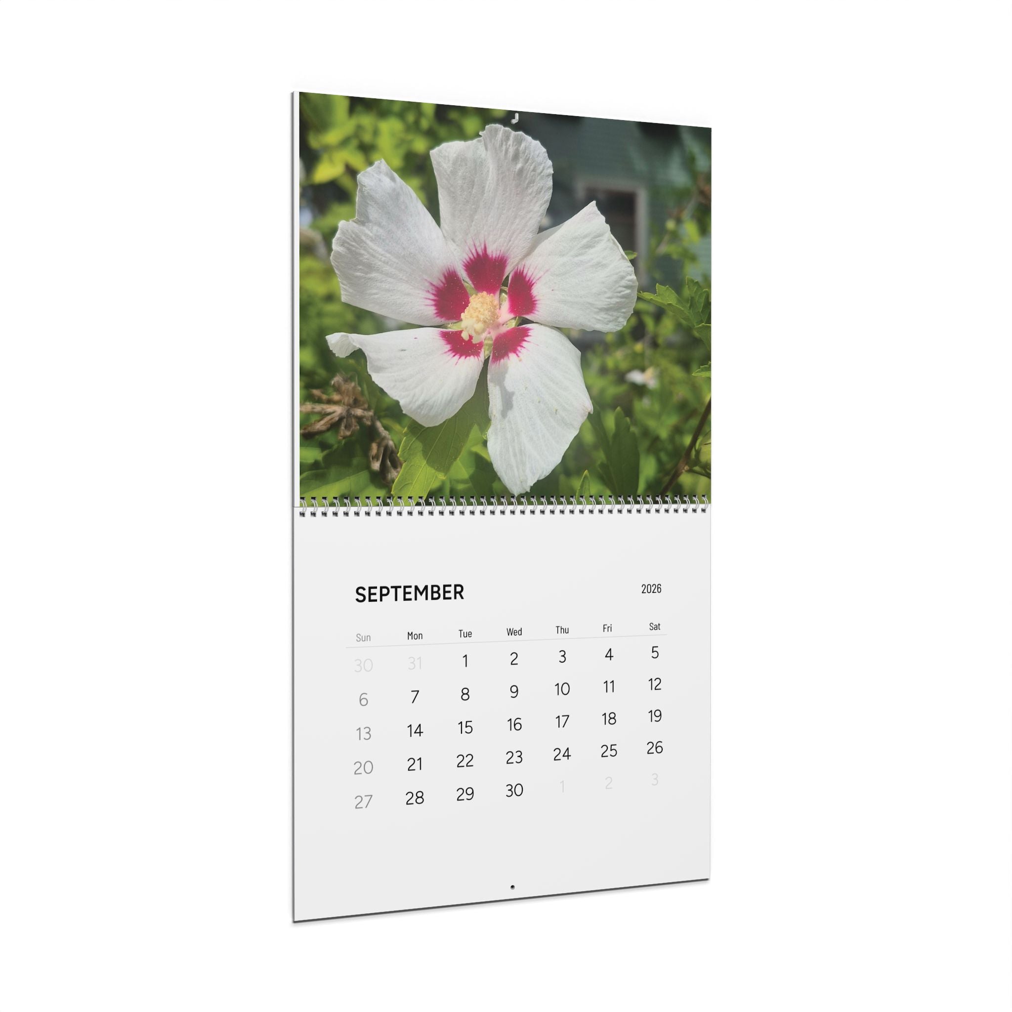 Wall Calendars (2026)