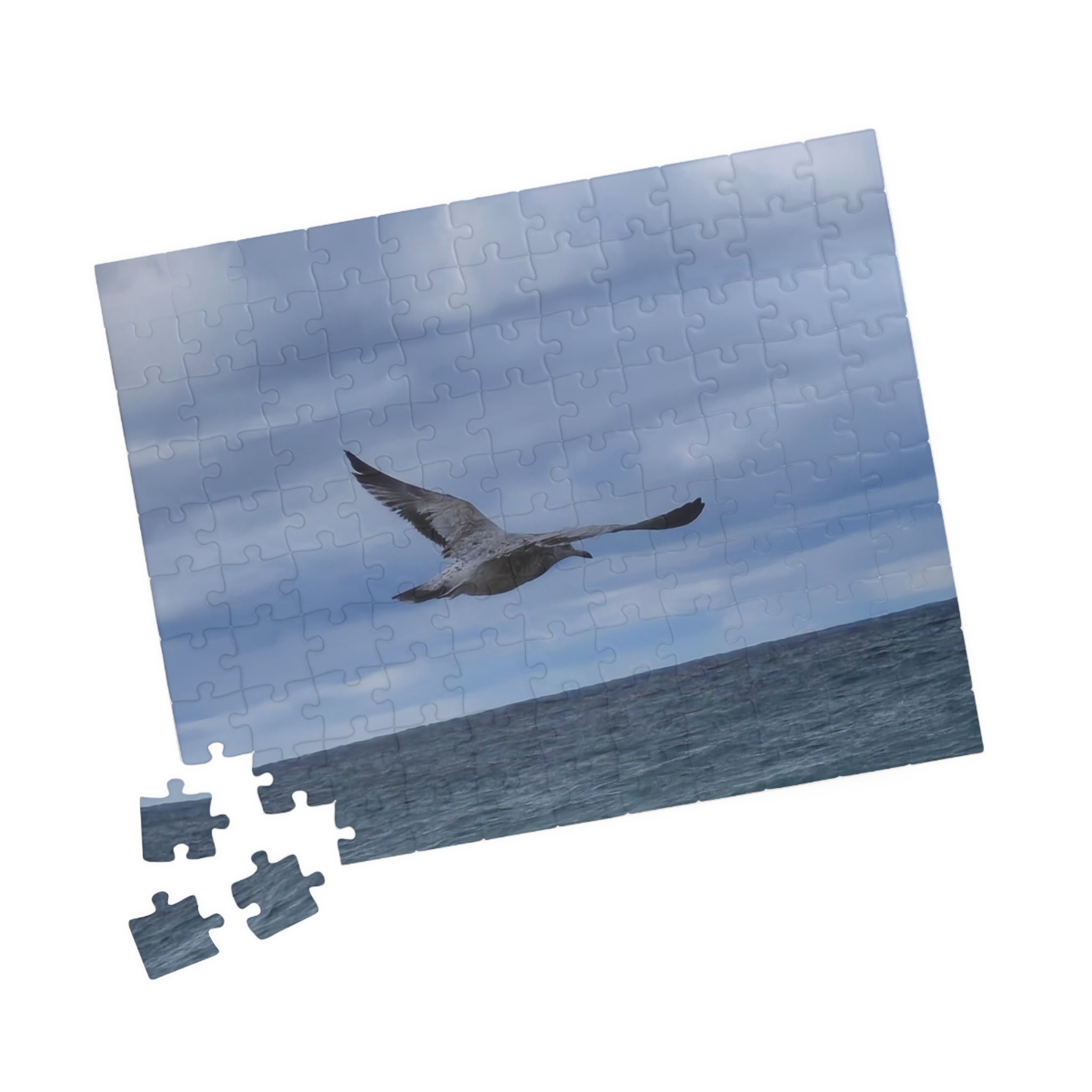 Seagull Soaring Puzzle - 1014-Piece Ocean Experience