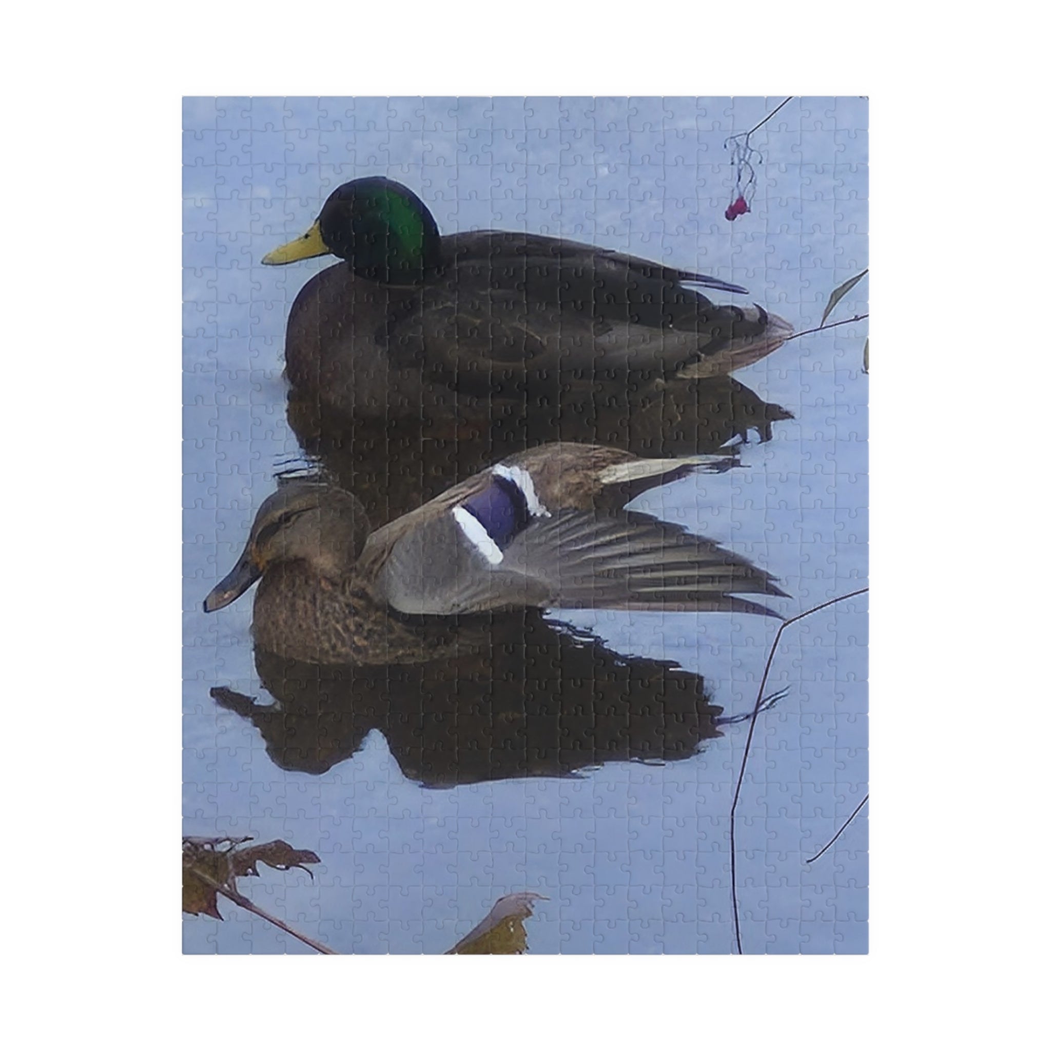 Nature-Inspired Puzzle: Tranquil Duck Duo (110, 252, 520, 1014-piece)