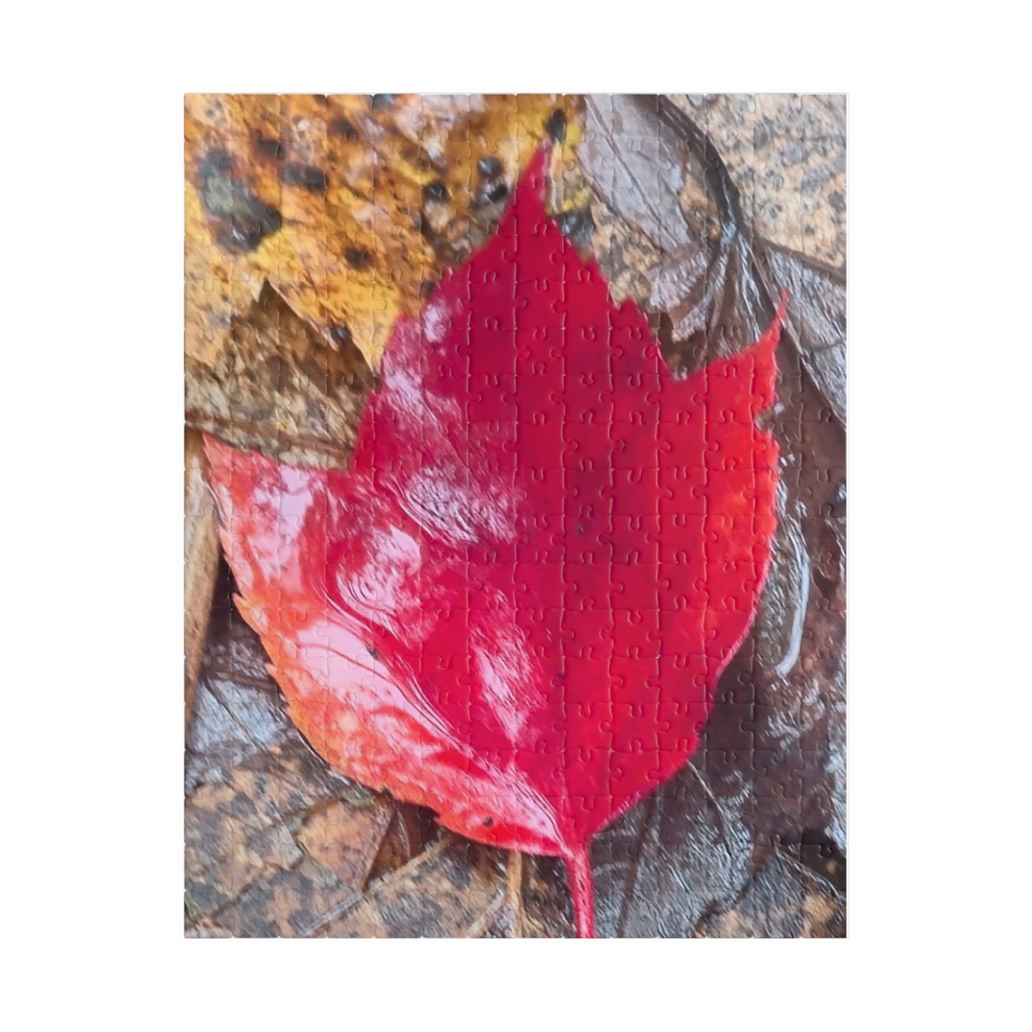 Autumn Leaf Puzzle for Nature Lovers - 110, 252, 520, 1014-Piece
