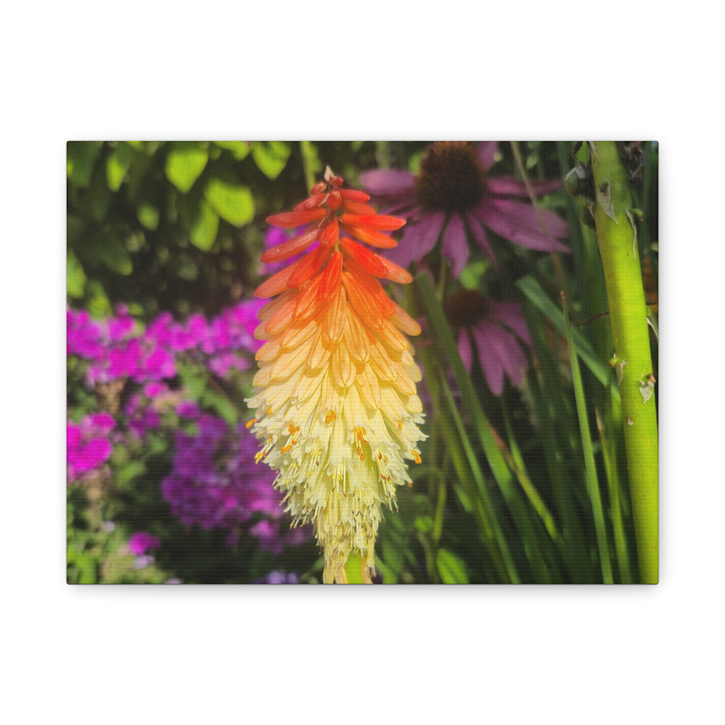 Copy of Matte Canvas, Stretched, 1.25"