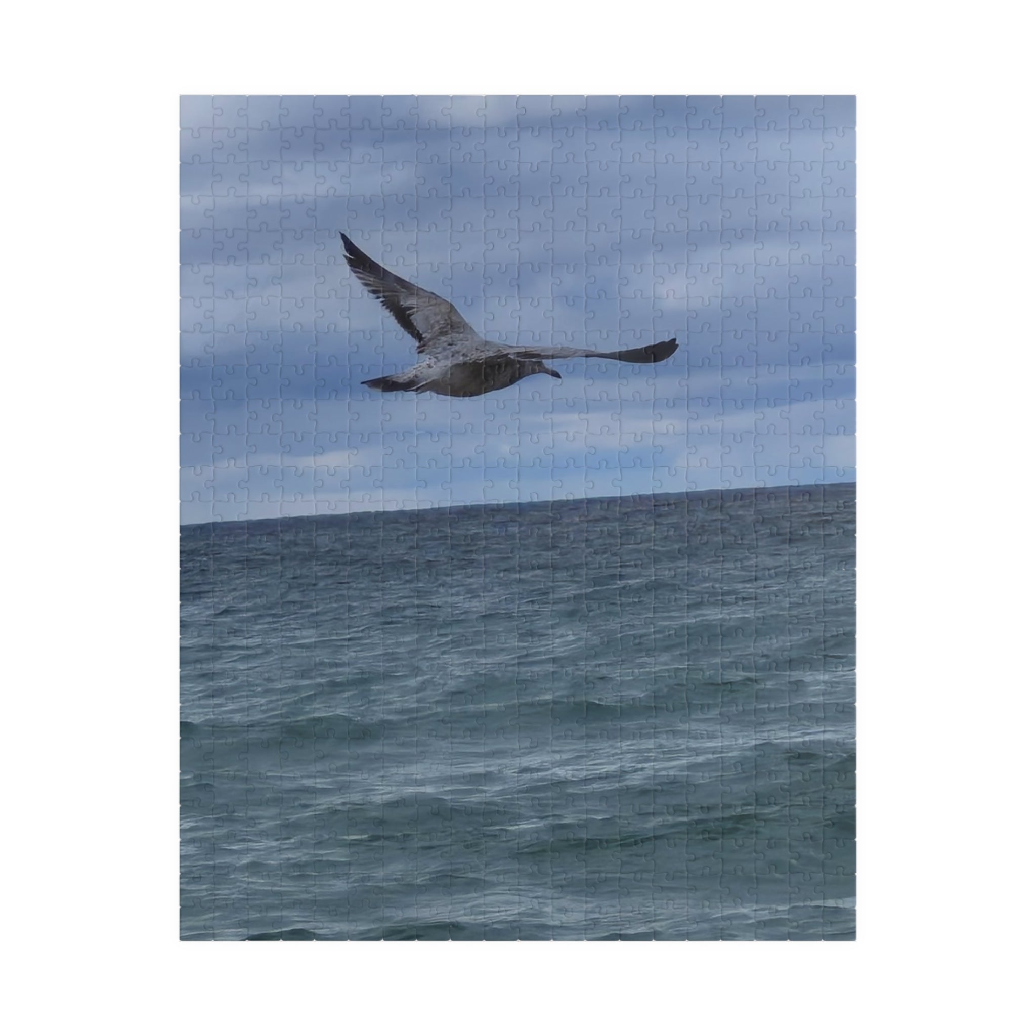 Ocean Bird Puzzle - 110 to 1014 Pieces