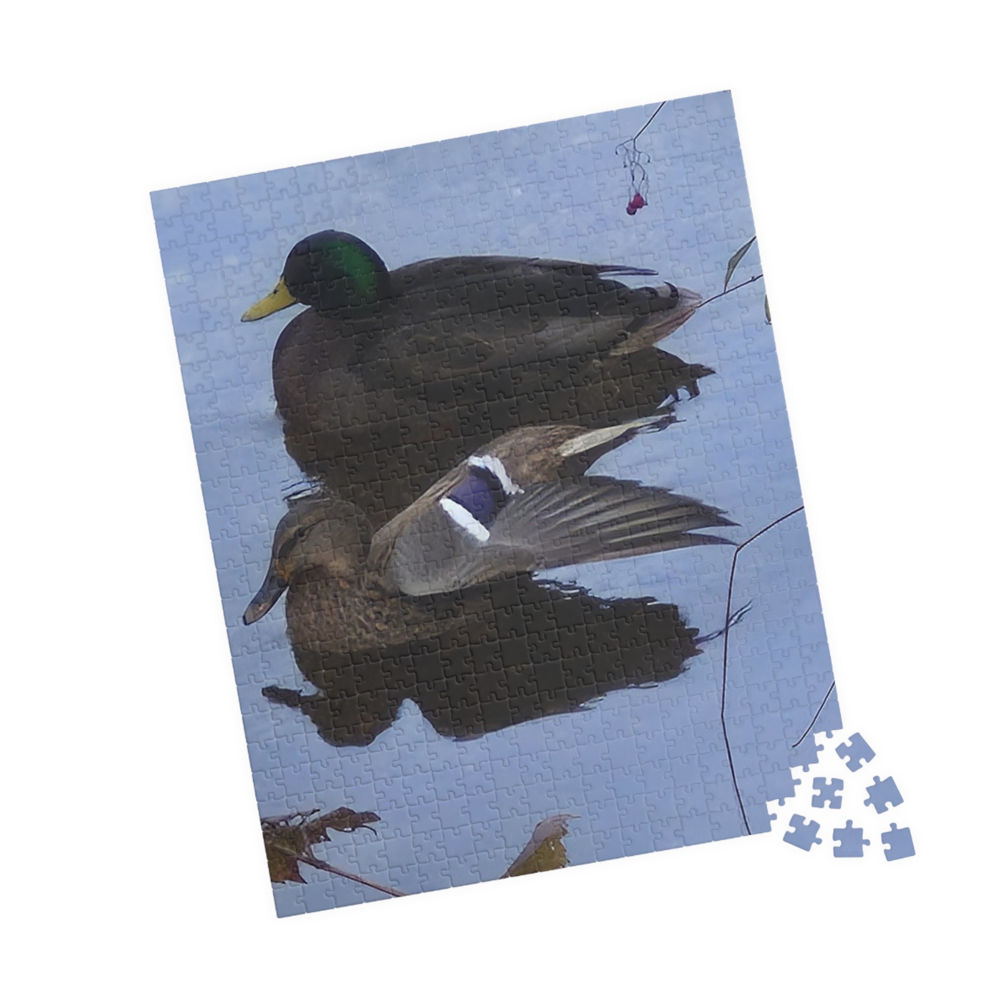 Nature-Inspired Puzzle: Tranquil Duck Duo (110, 252, 520, 1014-piece)