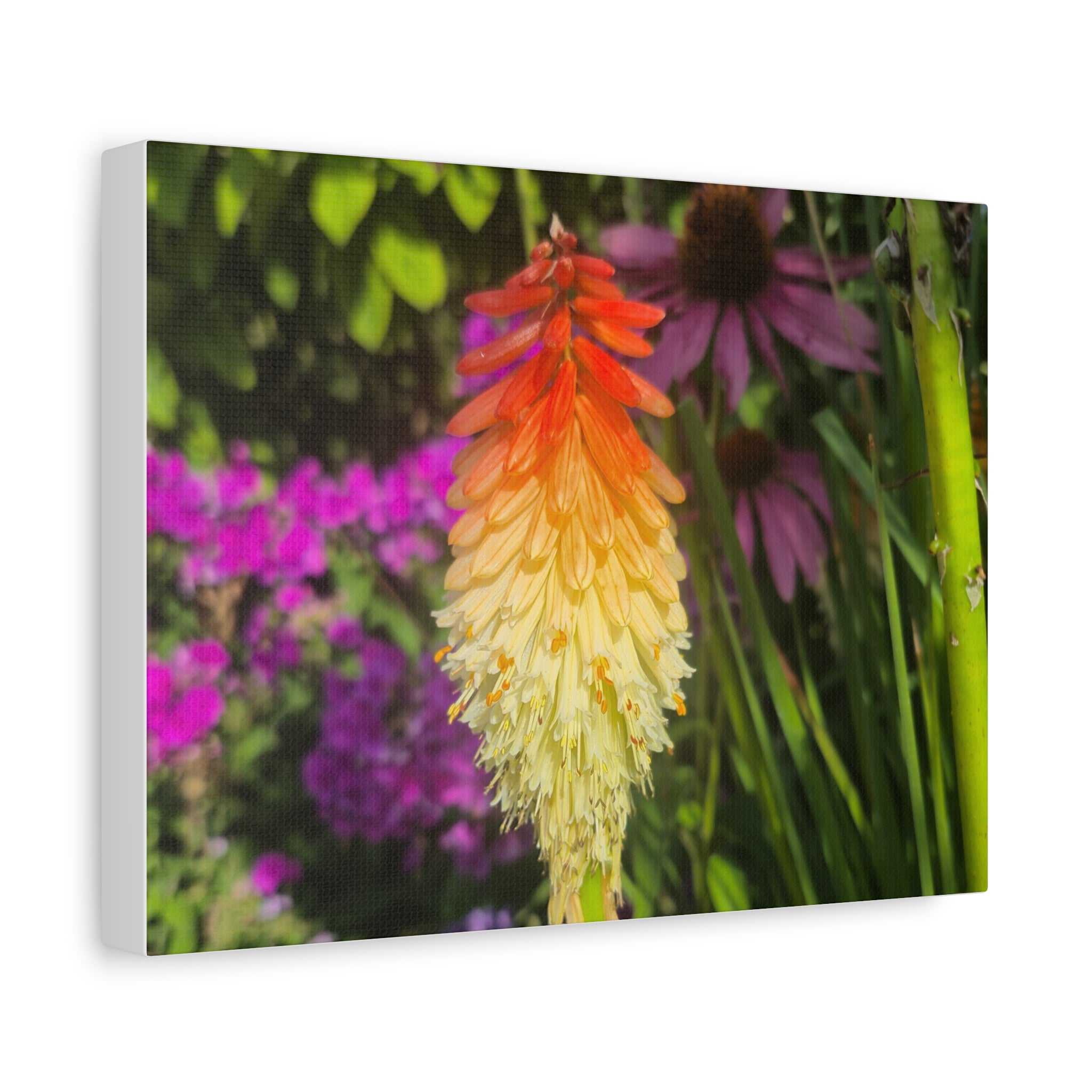 Copy of Matte Canvas, Stretched, 1.25"