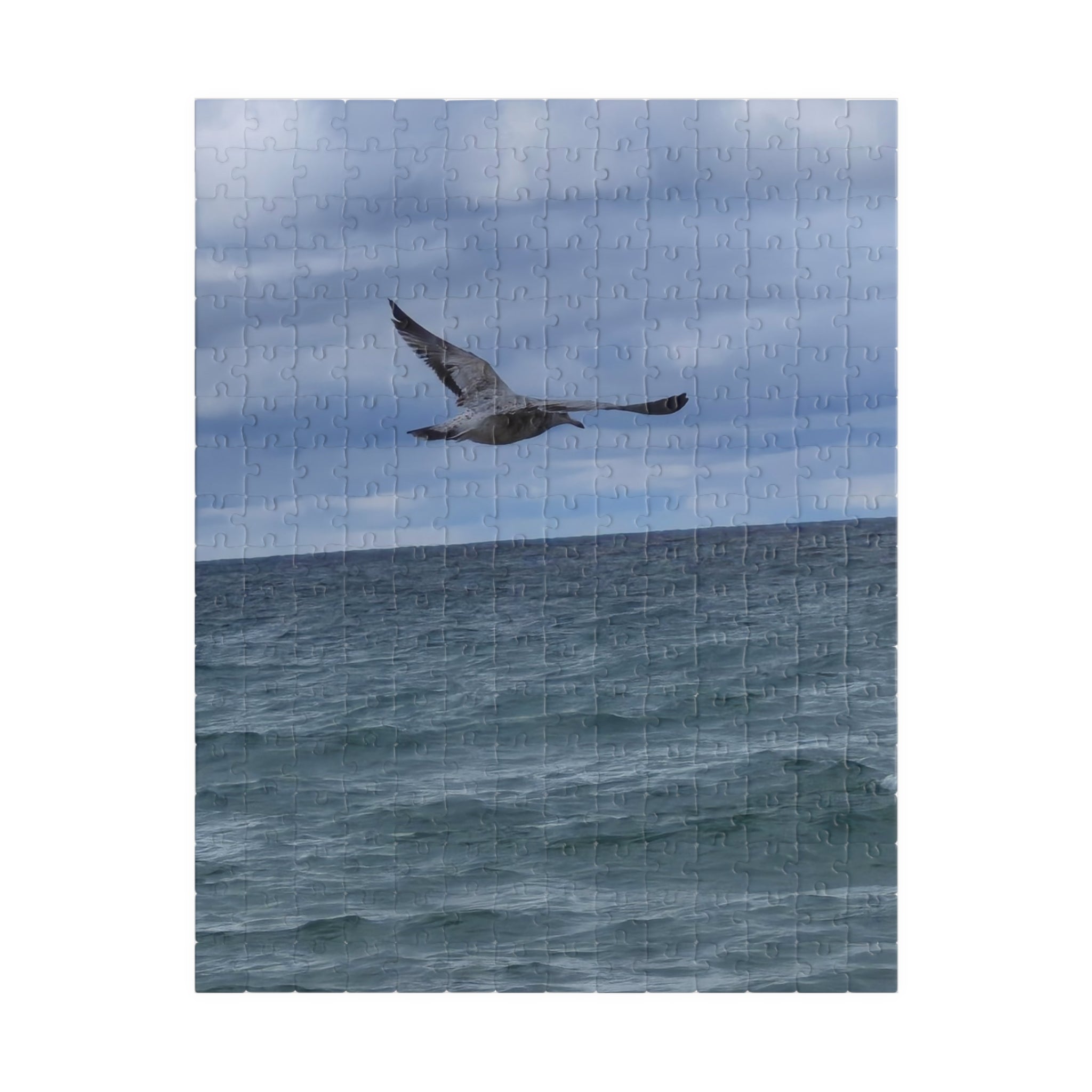 Ocean Bird Puzzle - 110 to 1014 Pieces