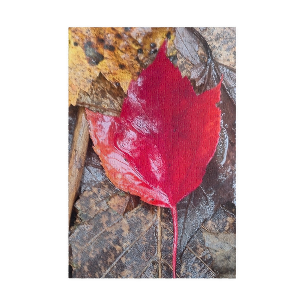 Autumn Leaf Puzzle for Nature Lovers - 110, 252, 520, 1014-Piece
