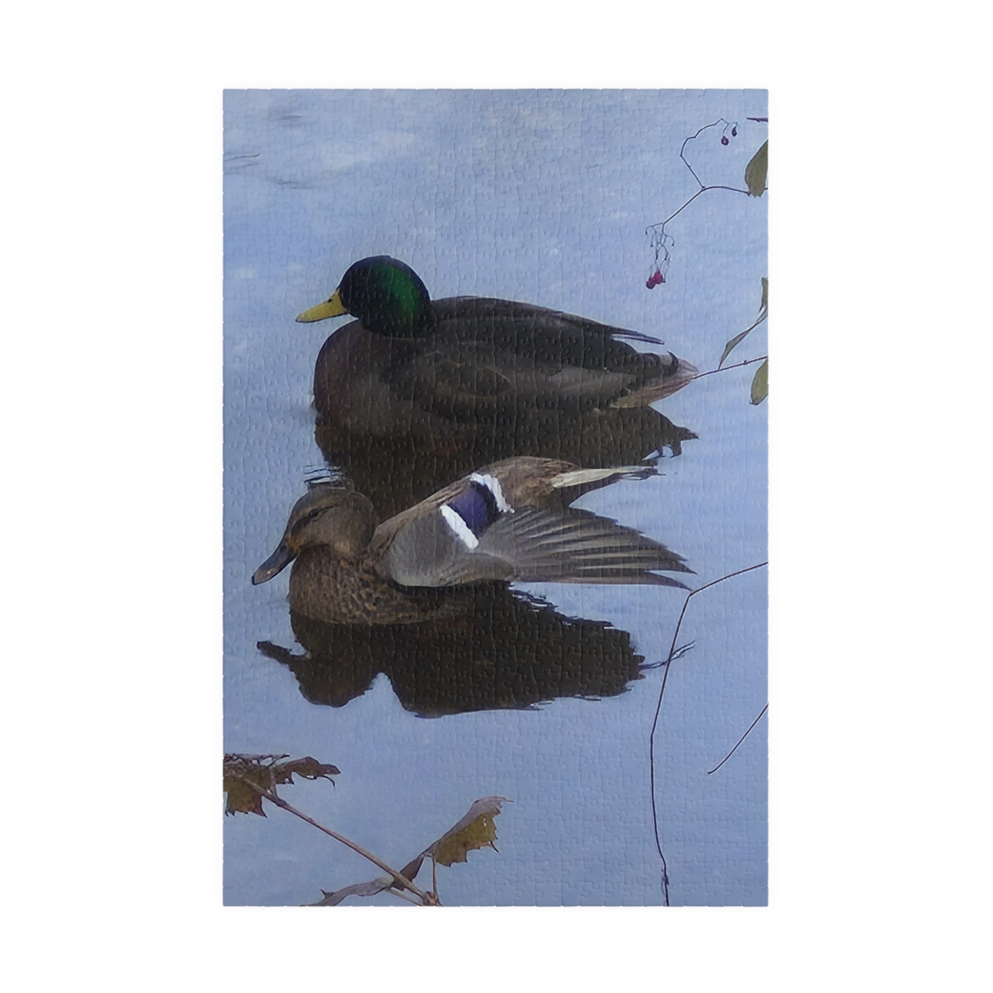 Nature-Inspired Puzzle: Tranquil Duck Duo (110, 252, 520, 1014-piece)