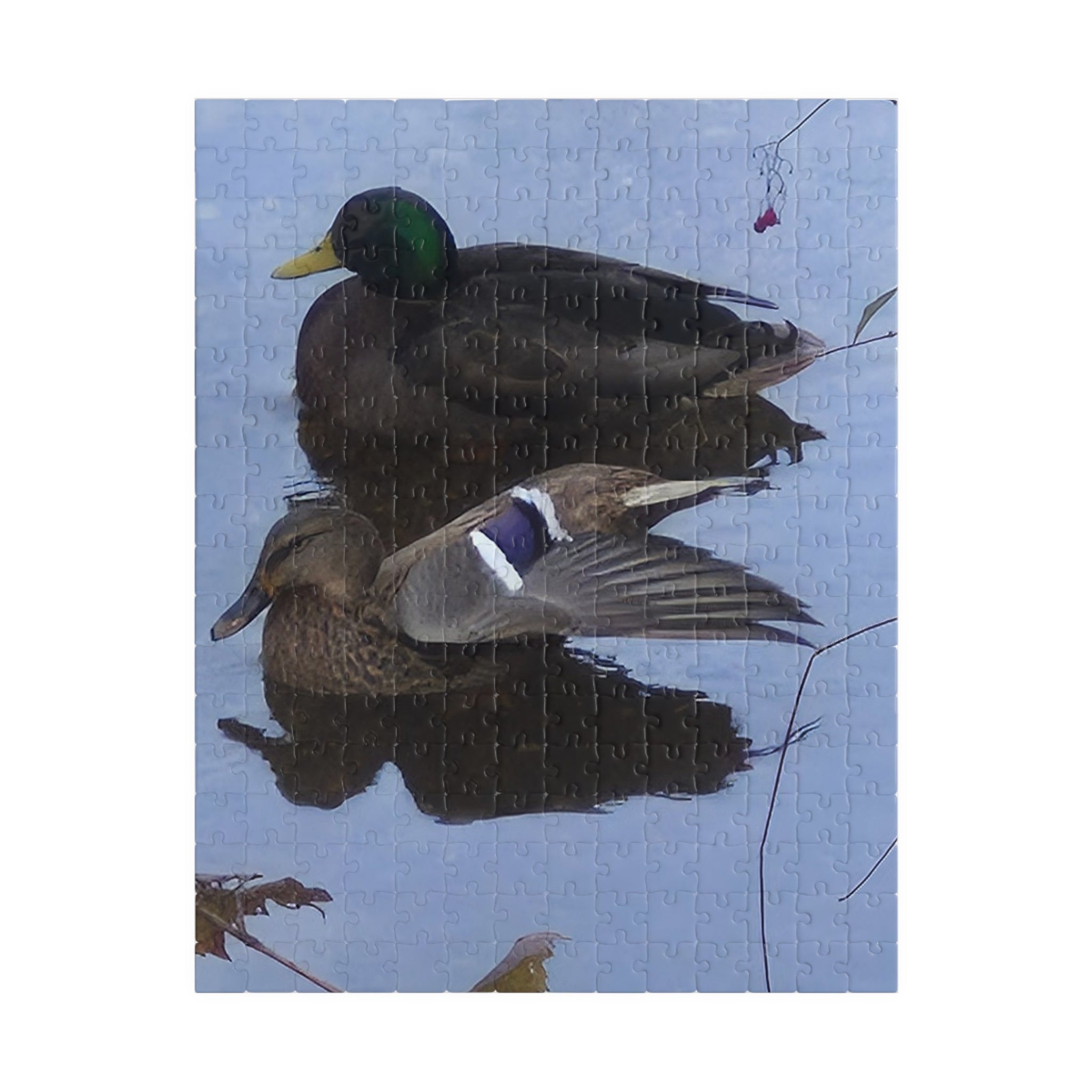 Nature-Inspired Puzzle: Tranquil Duck Duo (110, 252, 520, 1014-piece)