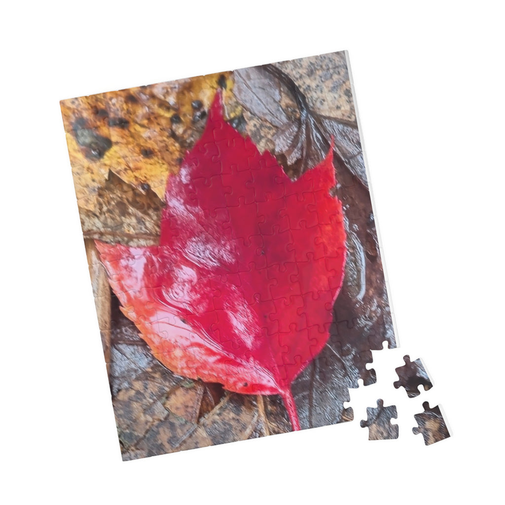 Autumn Leaf Puzzle for Nature Lovers - 110, 252, 520, 1014-Piece