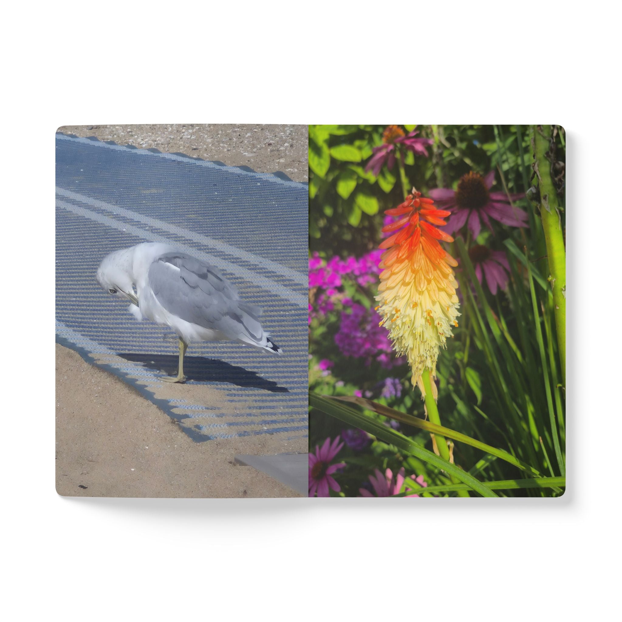 Tropical Floral Softcover Journal – Inspiring Nature Design for Writers & Dreamers, Perfect Gift for Students, Travelers, and Nature Lovers