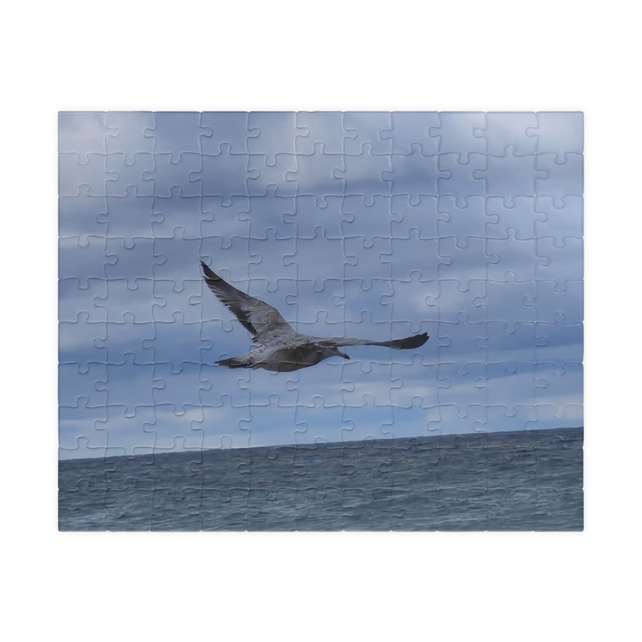 Seagull Soaring Puzzle - 1014-Piece Ocean Experience