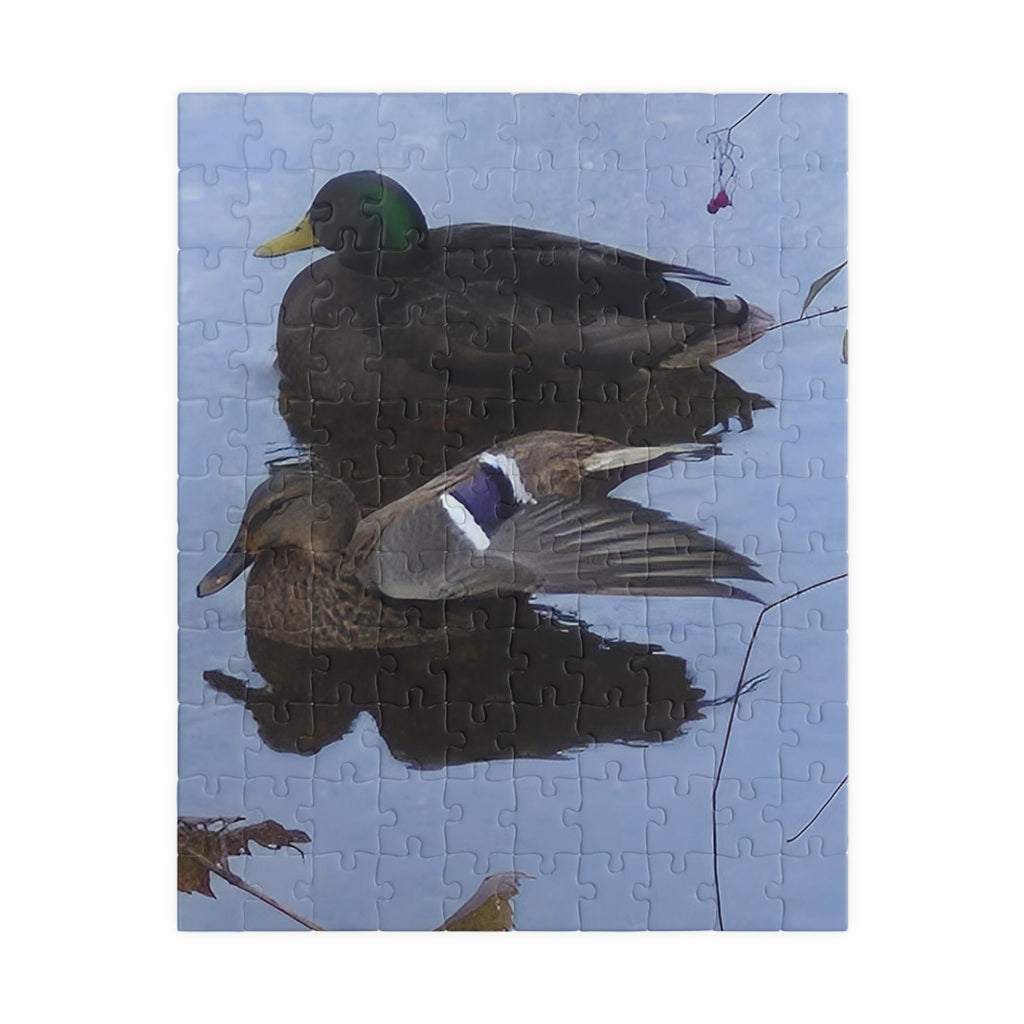 Nature-Inspired Puzzle: Tranquil Duck Duo (110, 252, 520, 1014-piece)