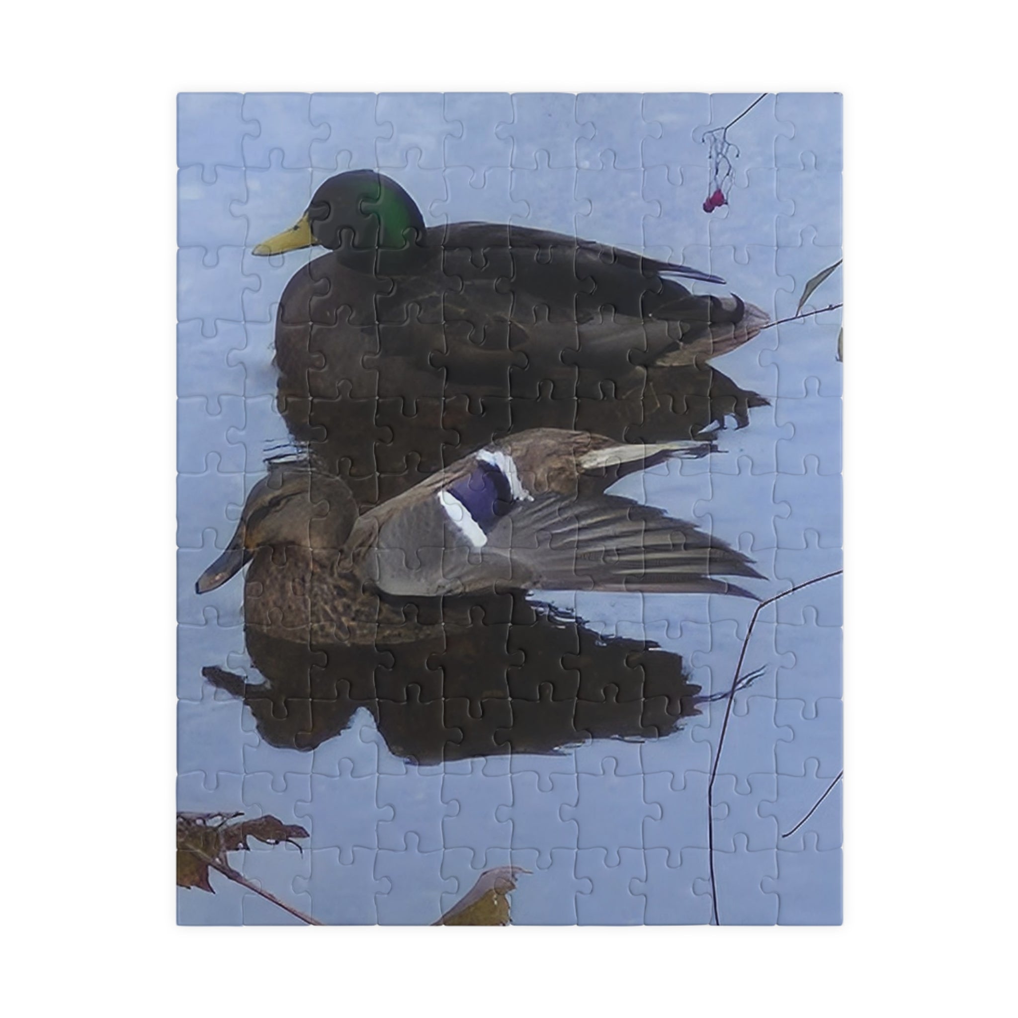 Nature-Inspired Puzzle: Tranquil Duck Duo (110, 252, 520, 1014-piece)