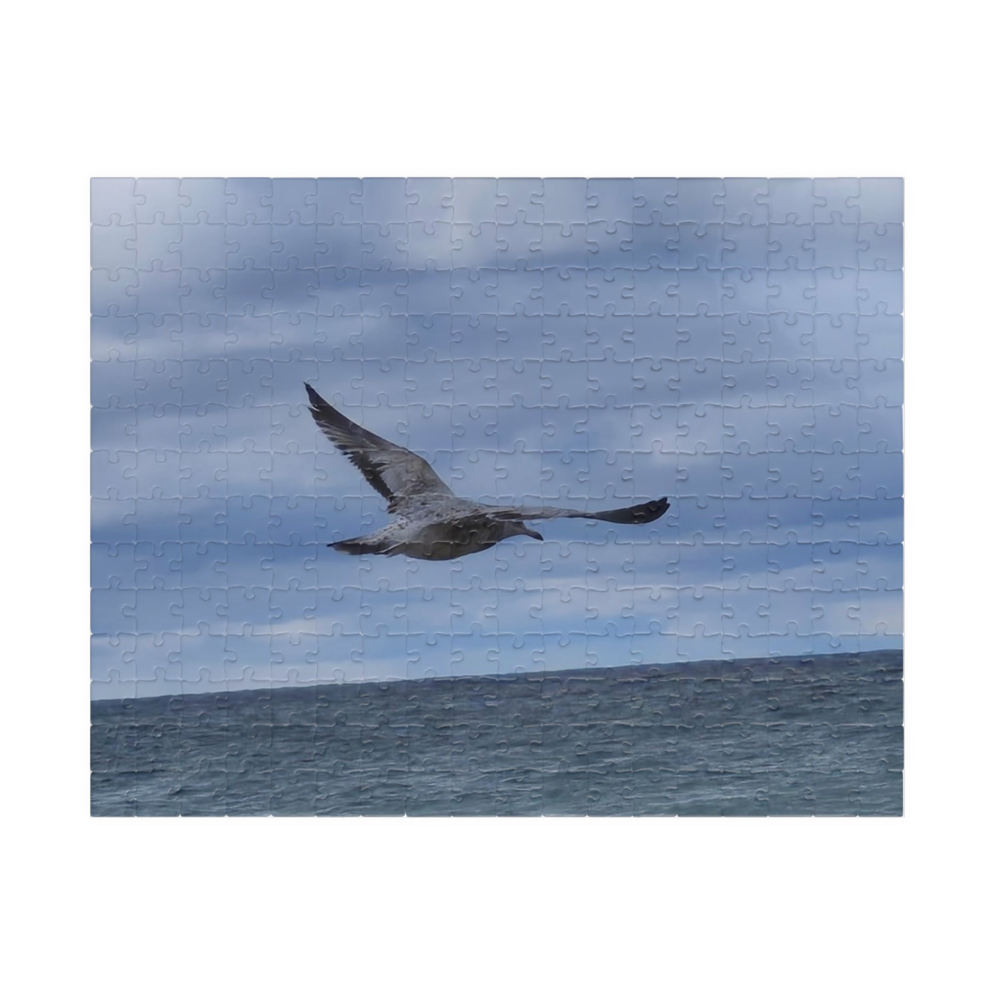 Seagull Soaring Puzzle - 1014-Piece Ocean Experience