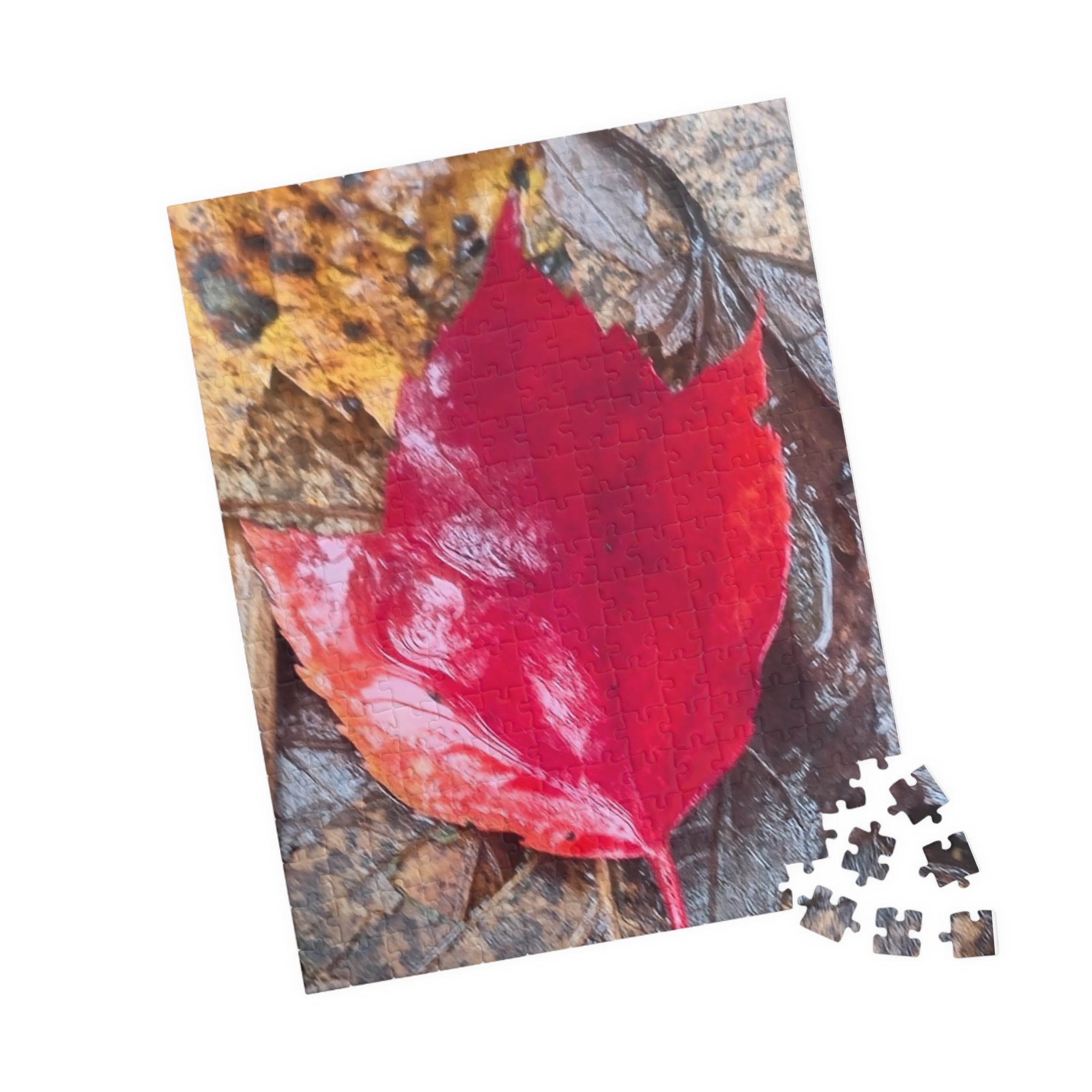 Autumn Leaf Puzzle for Nature Lovers - 110, 252, 520, 1014-Piece